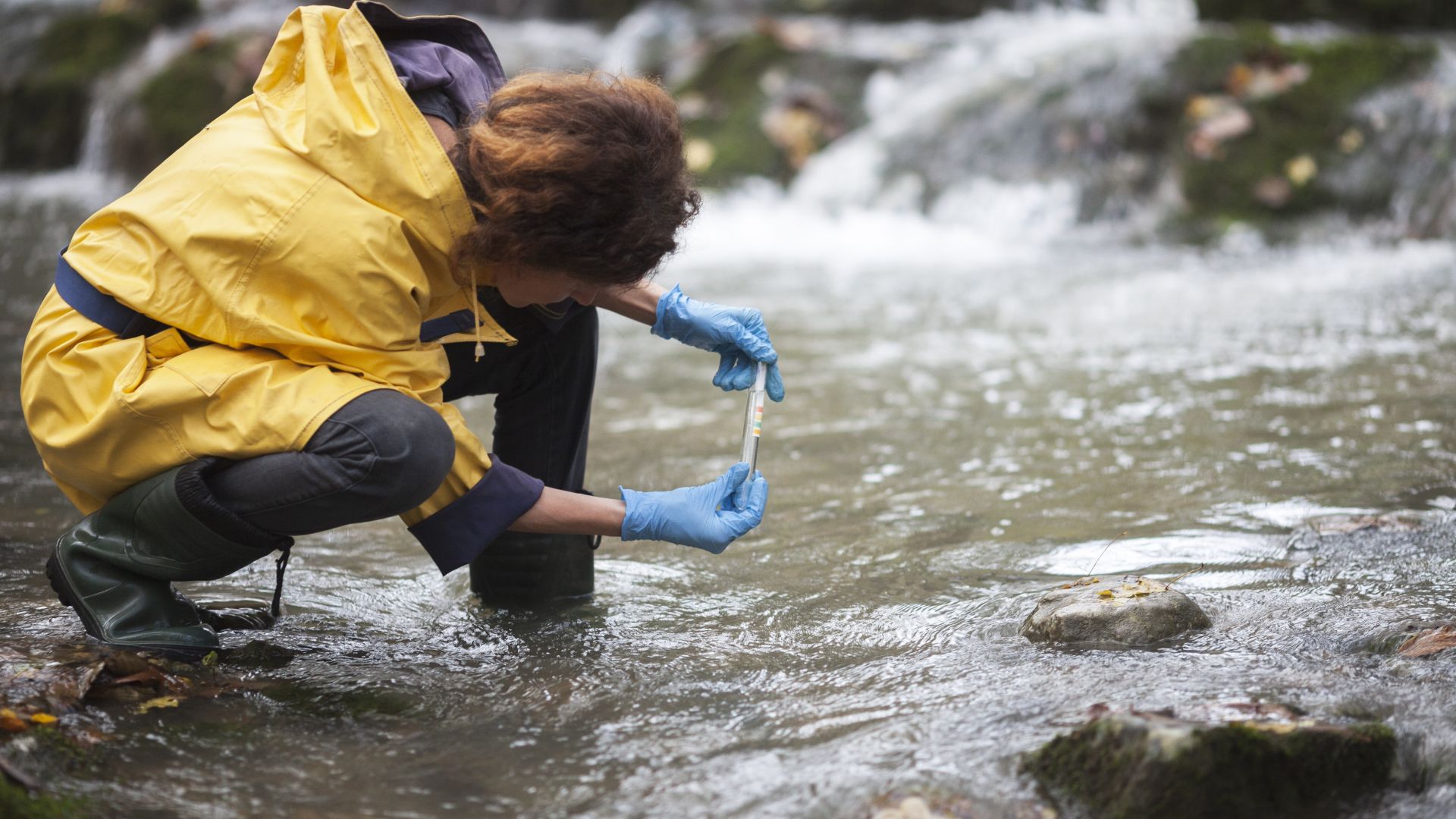 Чехия е изправена пред най тежката суша за последните 500 години