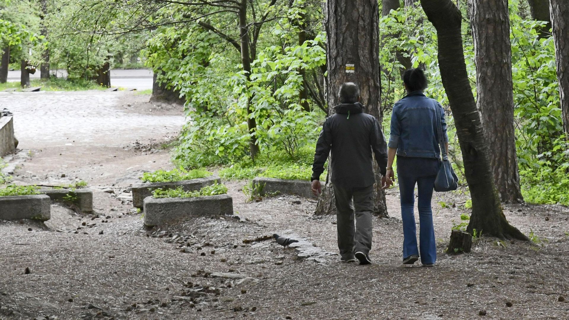 От 1 юни възстановяваме автобусните линии до Витоша № 63