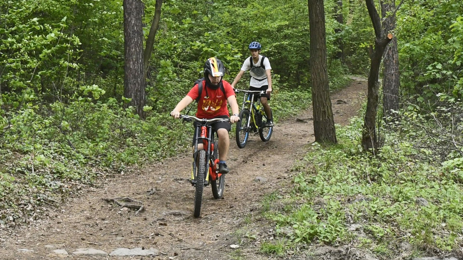 Излетите в природен парк Витоша са разрешени от днес Туристите