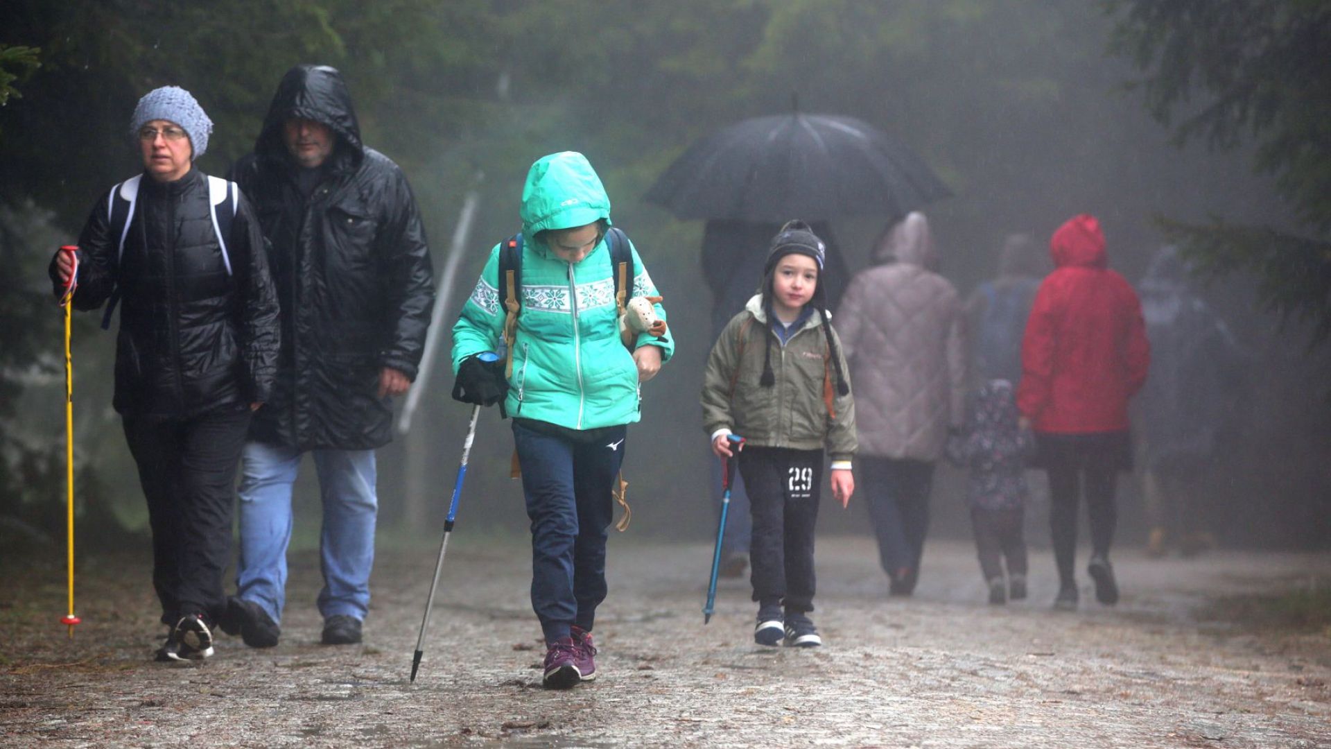 Излетите в природен парк Витоша са разрешени от днес Въпреки