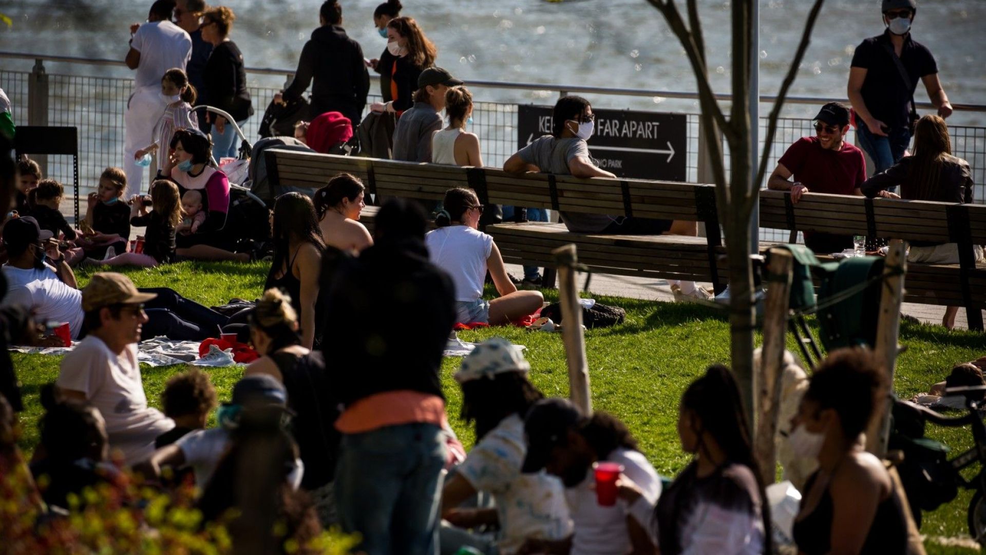 Броят на вирусоносителите в световен мащаб прехвърли границата от 3 5