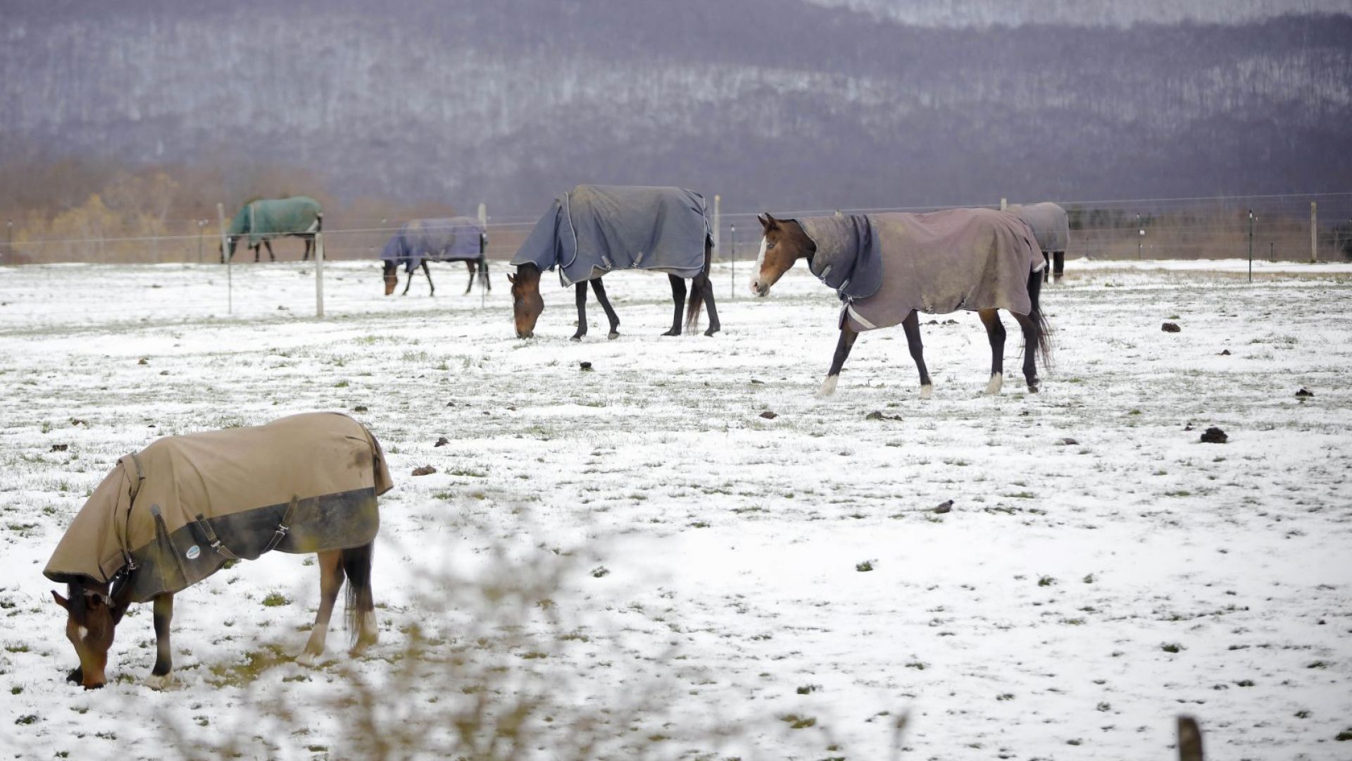 Полярен фронт донесе необичаен за сезона сняг в североизточната част