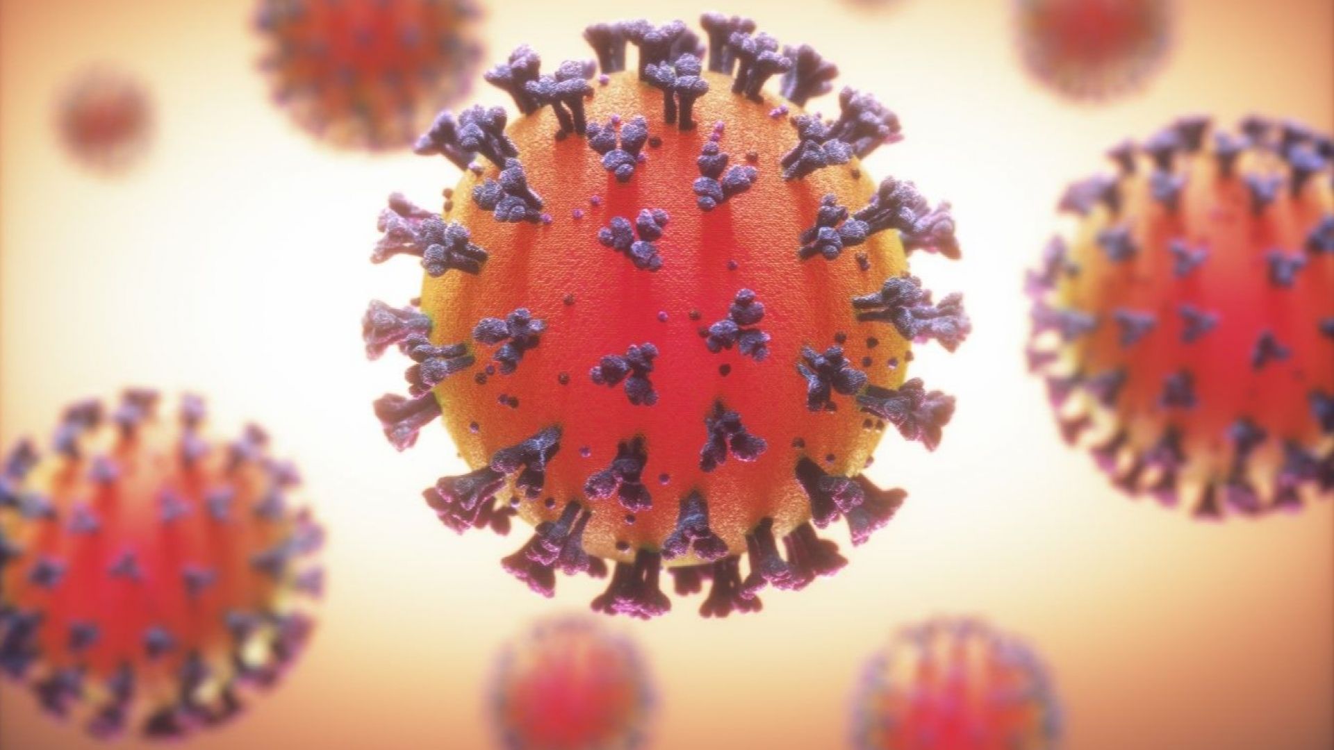 Само за една седмица сатовчанското село Осина се превърна в