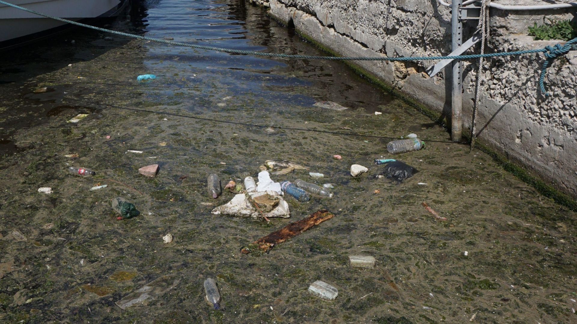 Басейнова дирекция Черноморски район Варна БДЧР Изпълнителната агенция по