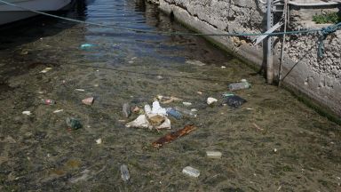 Варненското езеро е замърсено с органични вещества