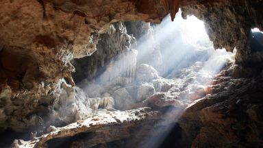 Открит в пещера зъб хвърля светлина върху мистериозно изчезнал човешки вид