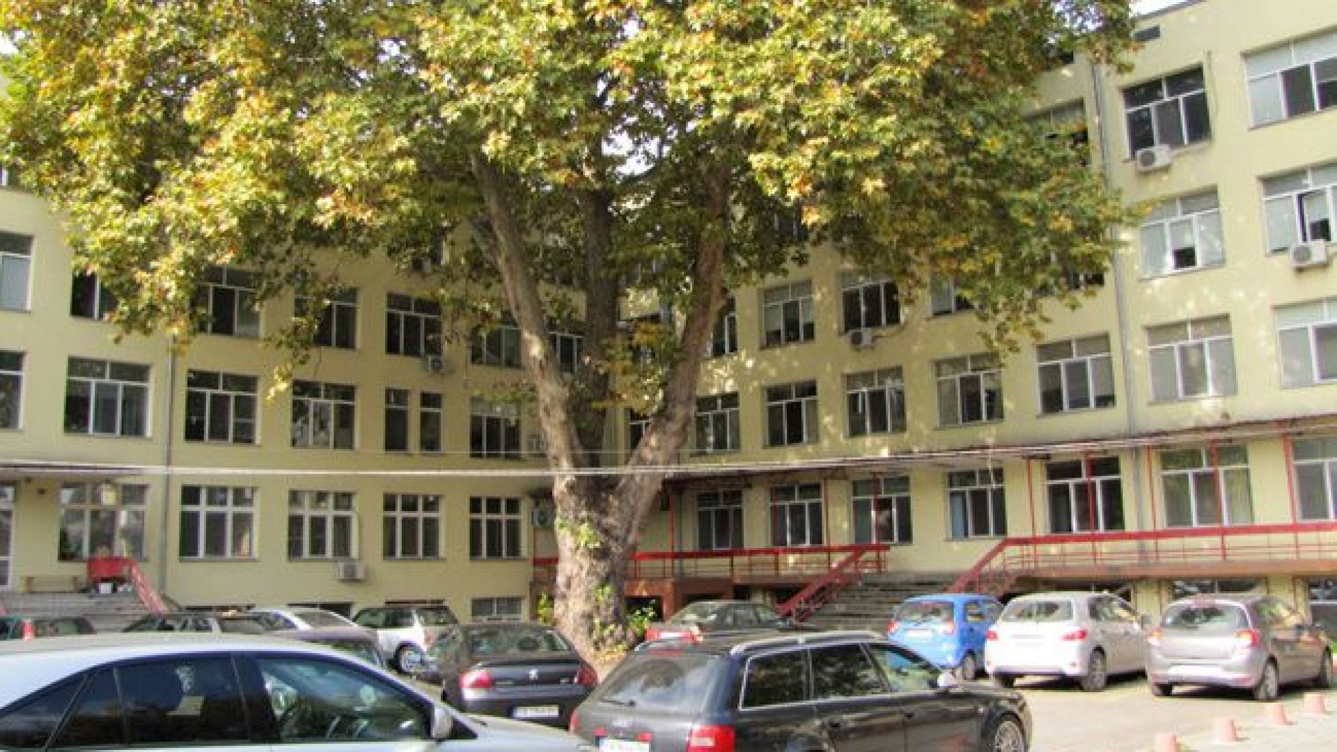 Медик от Мюнхен стана първият доброволец в болницата в Пазарджик