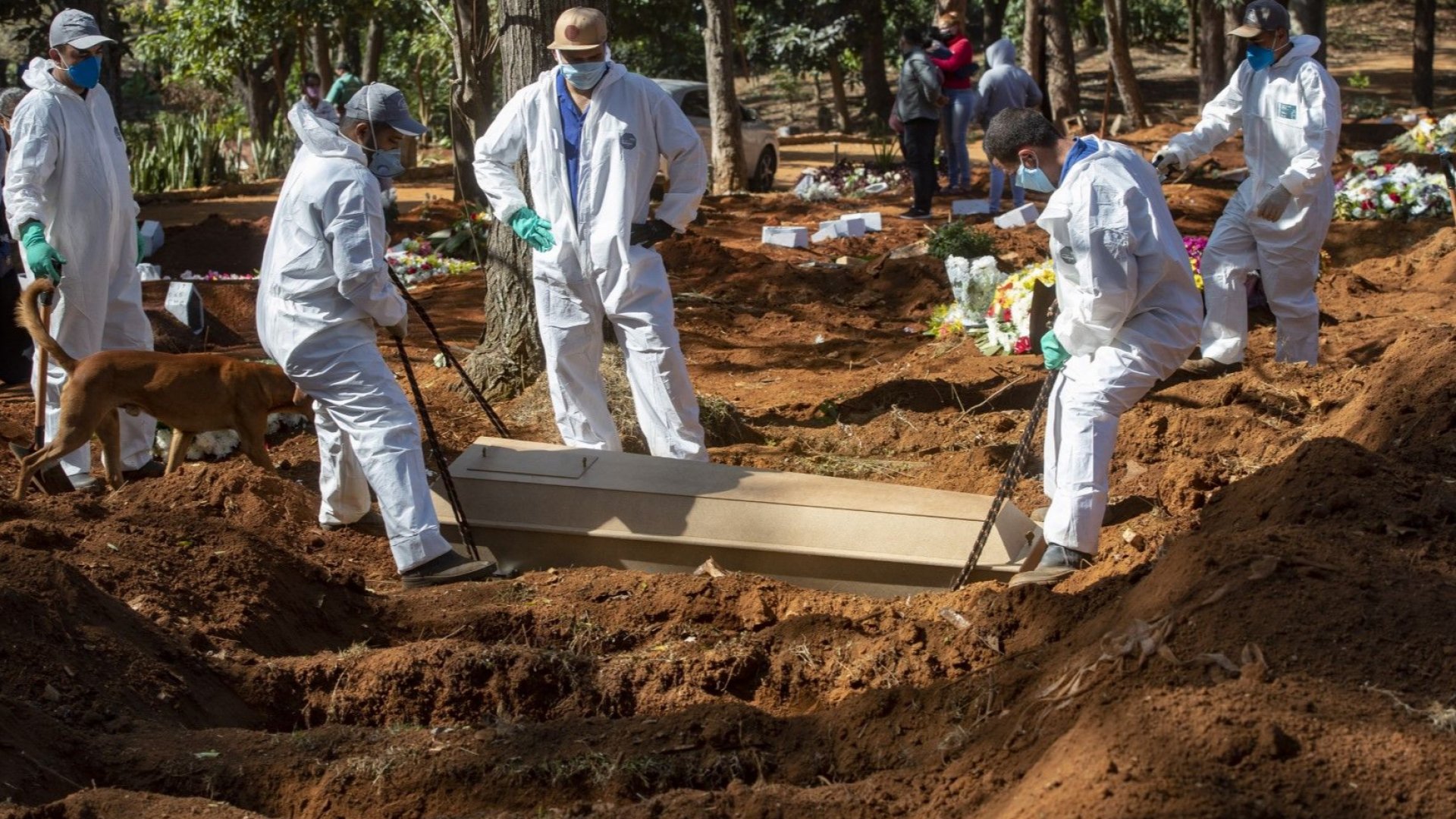 Човешкото развитие е на път да отчете тази година спад