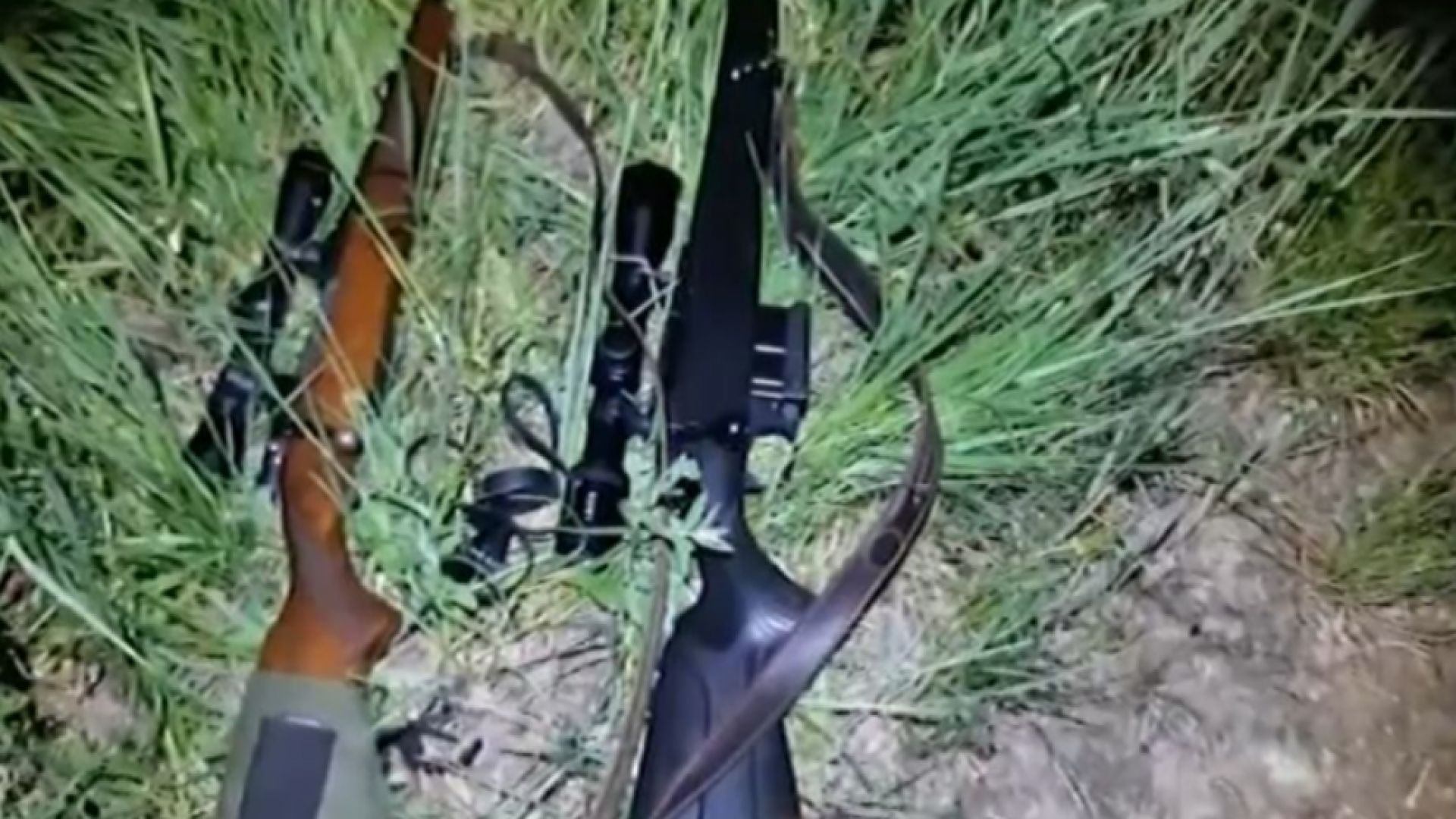 Незаконни ловци убиха сръндаци за трофеи край чипровското село Горна