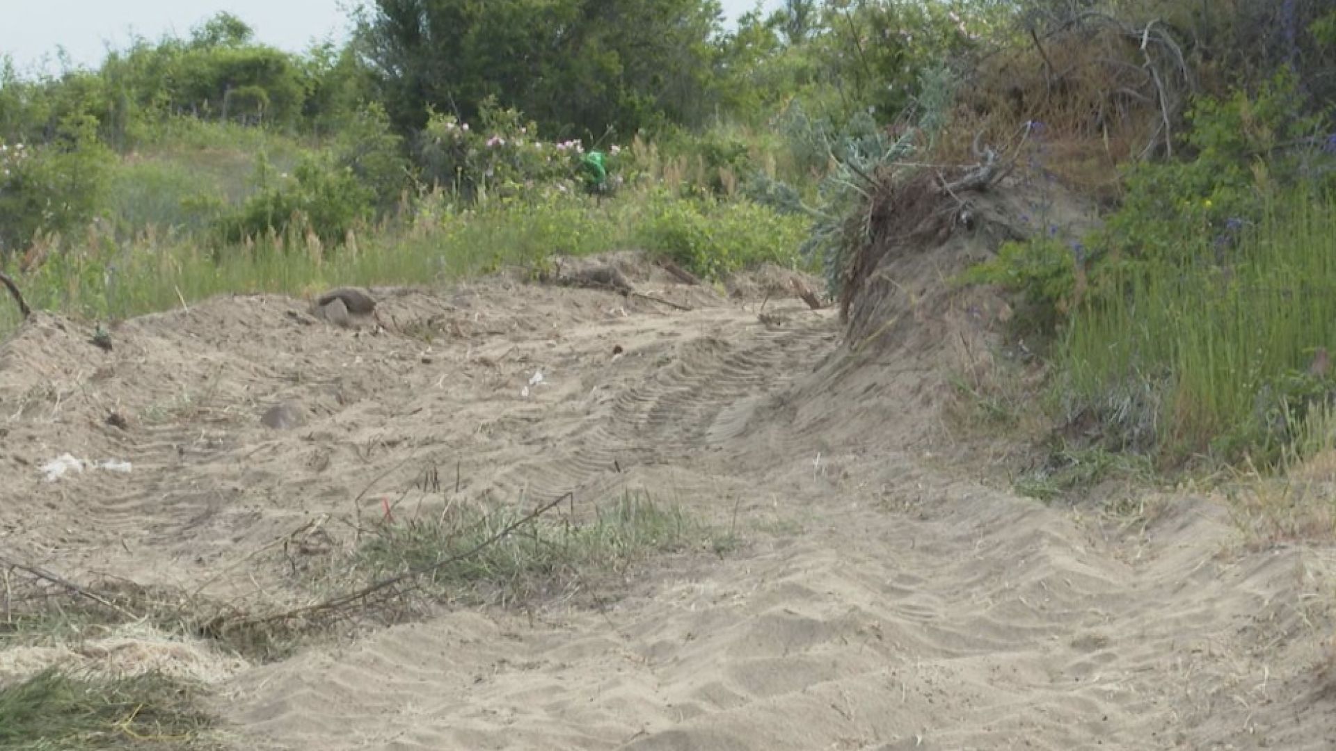 Багер разорал плажа в Ахтопол е увредил сиви дюни показа