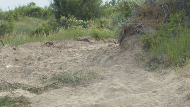 Учени от Института по океанология при БАН във Варна ще