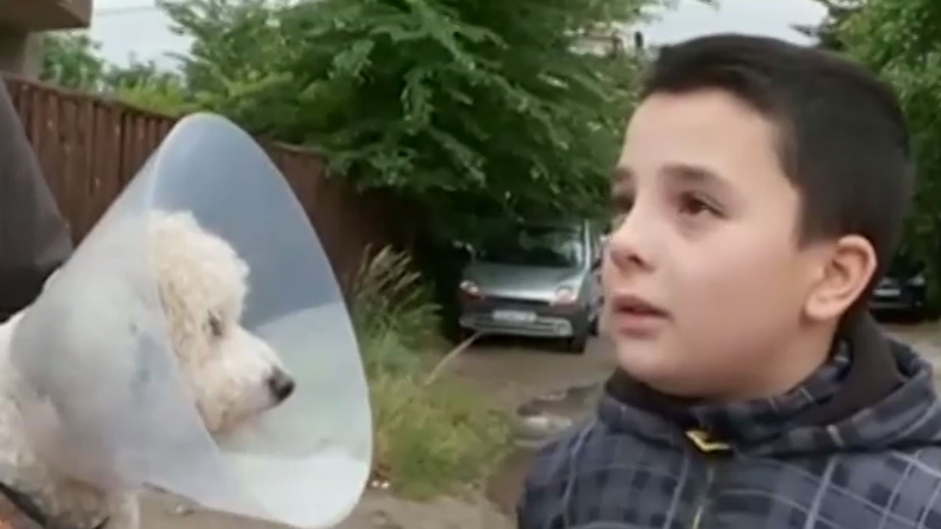 10 годишно момче е било нахапано от немска овчарка в София