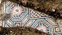 Древни римски мозайки бяха открити насред лозе в Италия