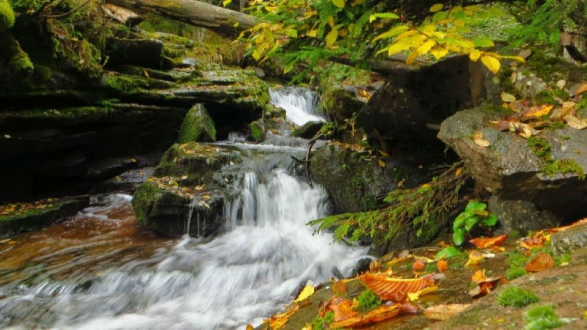 Морето не е за всички Има хора които изгарят дори