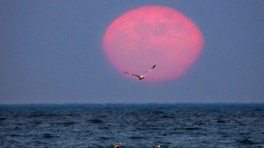 Вижте как Ягодовата Луна озари нощна Варна (снимки)