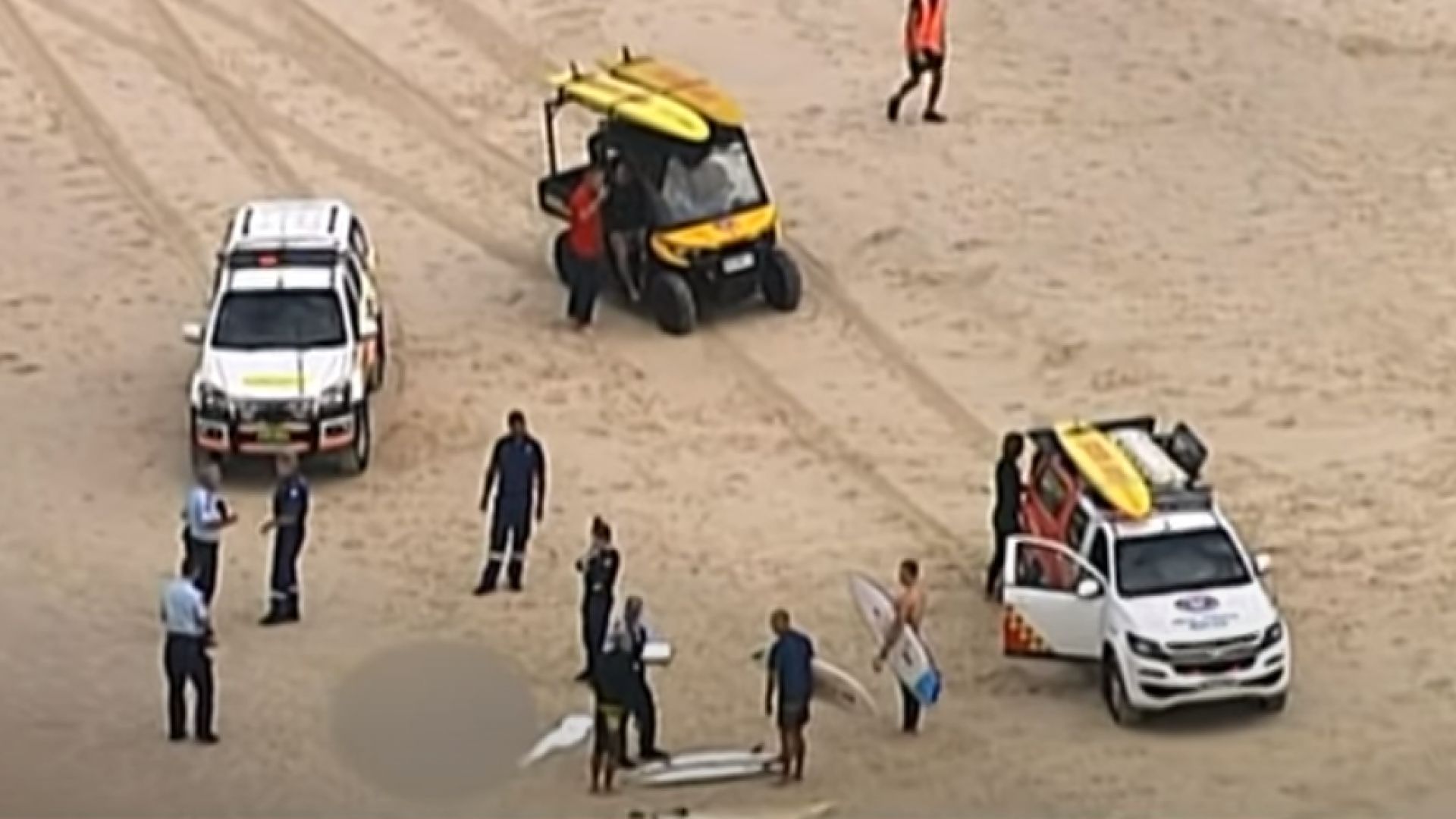 Триметрова акула атакува и уби 60 годишен сърфист в Австралия предаде
