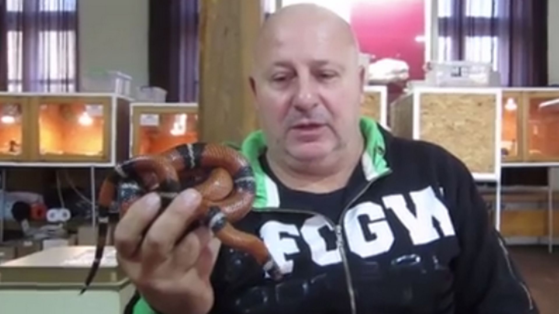 Черна мамба ухапа ветеринарния лекар д р Георги Еленски от Хасково В