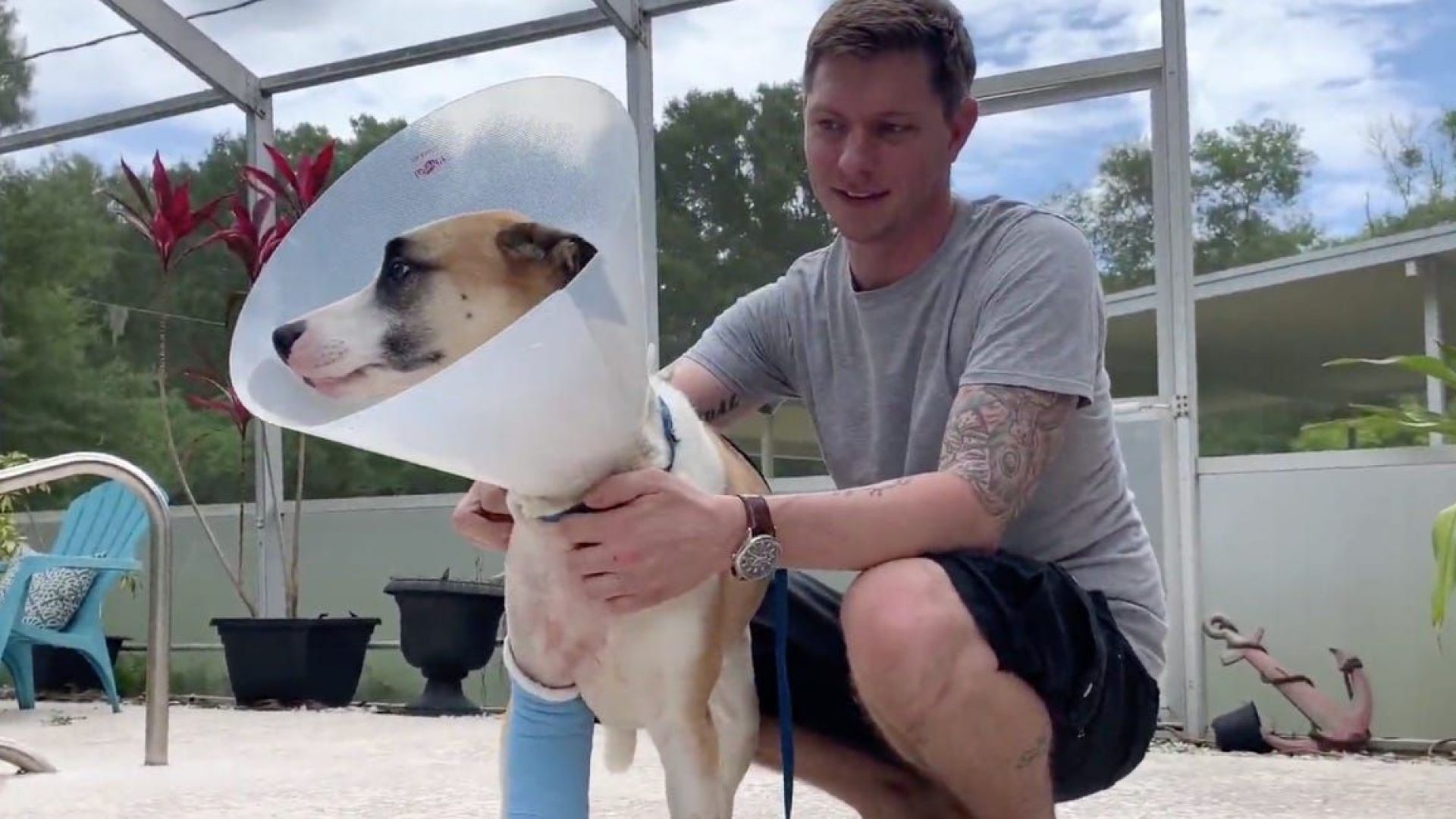 Стопанин спаси кучето си след ръкопашна схватка с алигатор (видео)