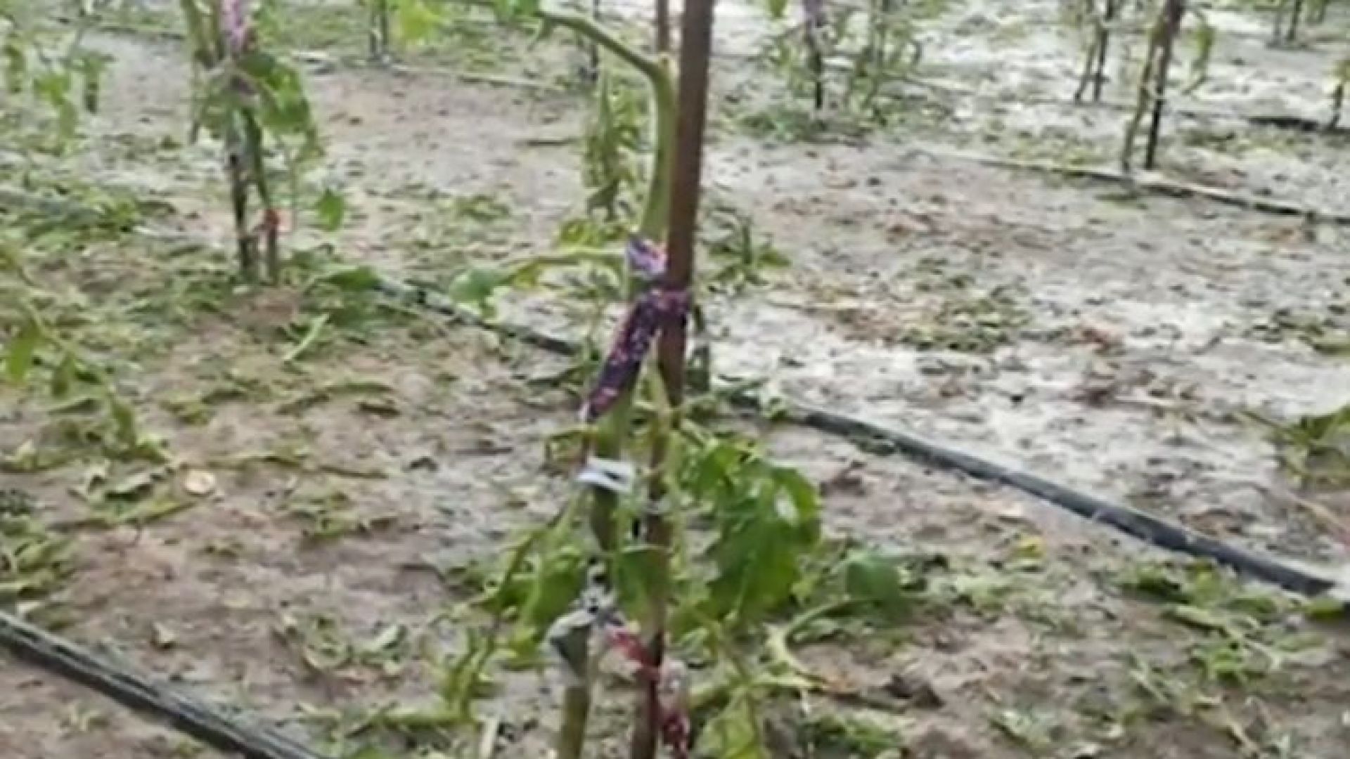 Пороите причиниха щети на много места в страната Пътят Орешак