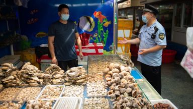 Норвежката сьомга не е източникът на коронавируса на пекинския пазар