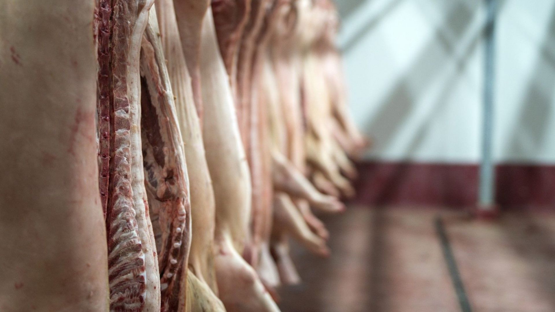 "Електронен нос" ще определя дали месото е свежо