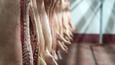 Компании в месопреработвателната промишленост в цяла Европа включително Великобритания наемат