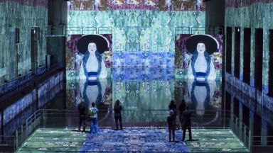 Невъобразимо гмуркане с Густав Климт в най-големия дигитален културен център в света