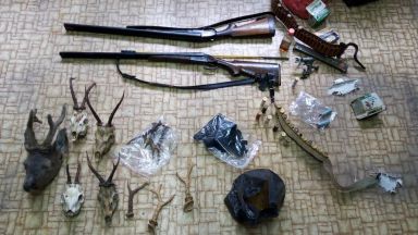 Откриха незаконно оръжие и малка сърничка във велинградско село (снимки)