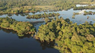 Разширяването на стопанствата и пасищата в амазонските дъждовни гори и