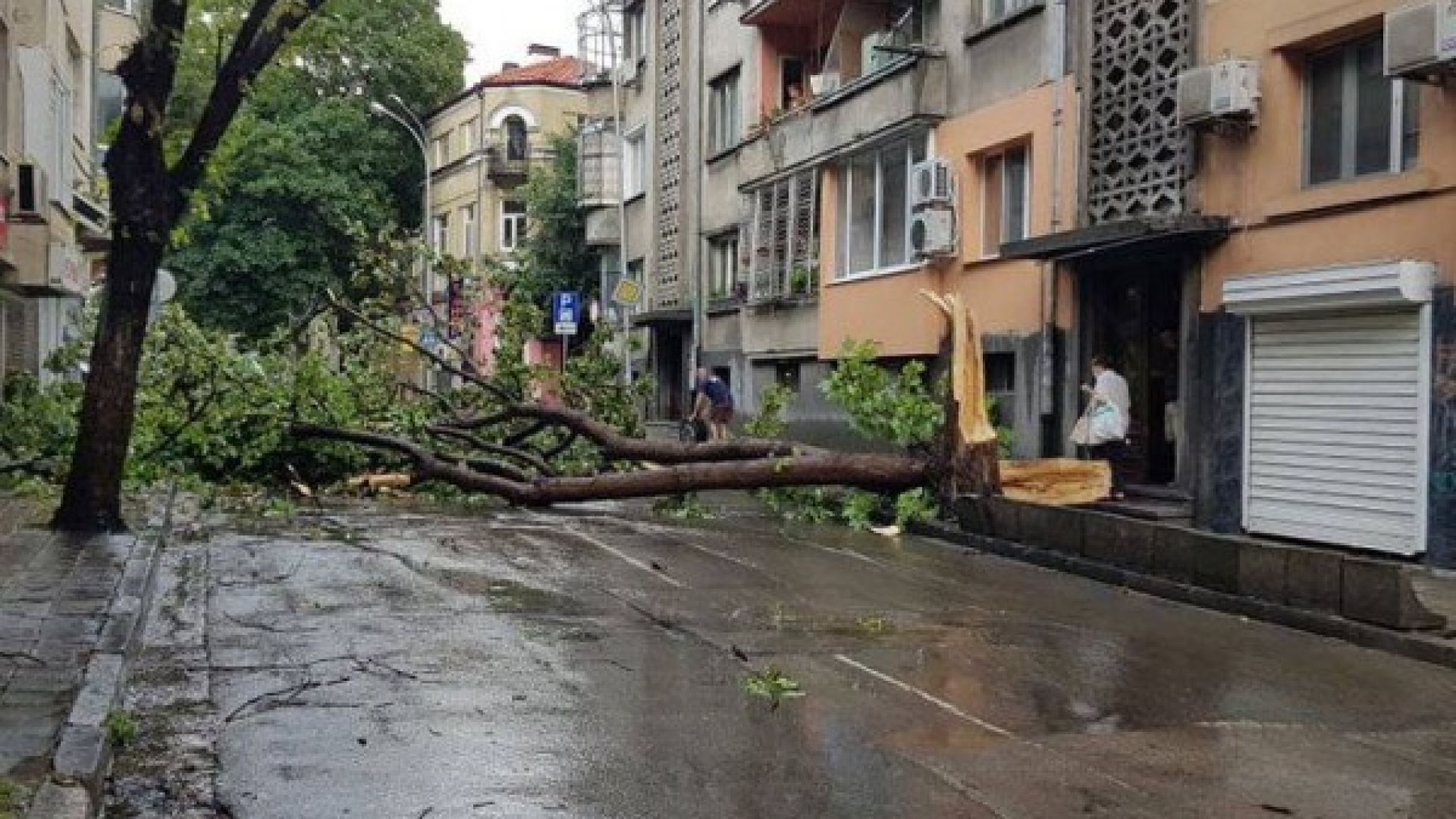 Мощна буря с пороен дъжд и ураганен вятър удари Варна (видео)