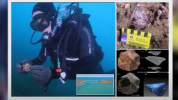 Австралийски археолози откриха за първи път аборигенски инструменти под вода (видео)
