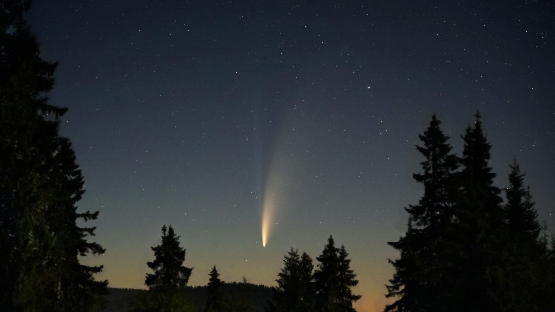 Най-ярката комета за 2023 г. вече може да се види в небето