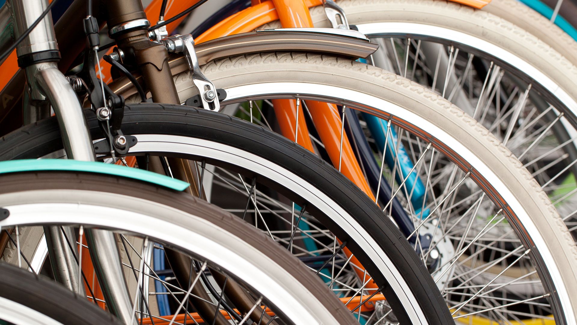 На колело по цял свят: Производителите на велосипеди затрупани с поръчки