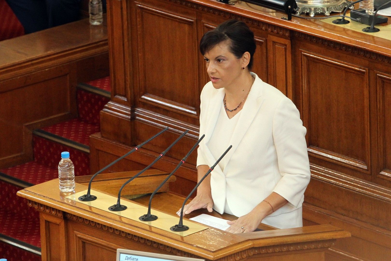 Даниела Дариткова, председател на ГЕРБ 