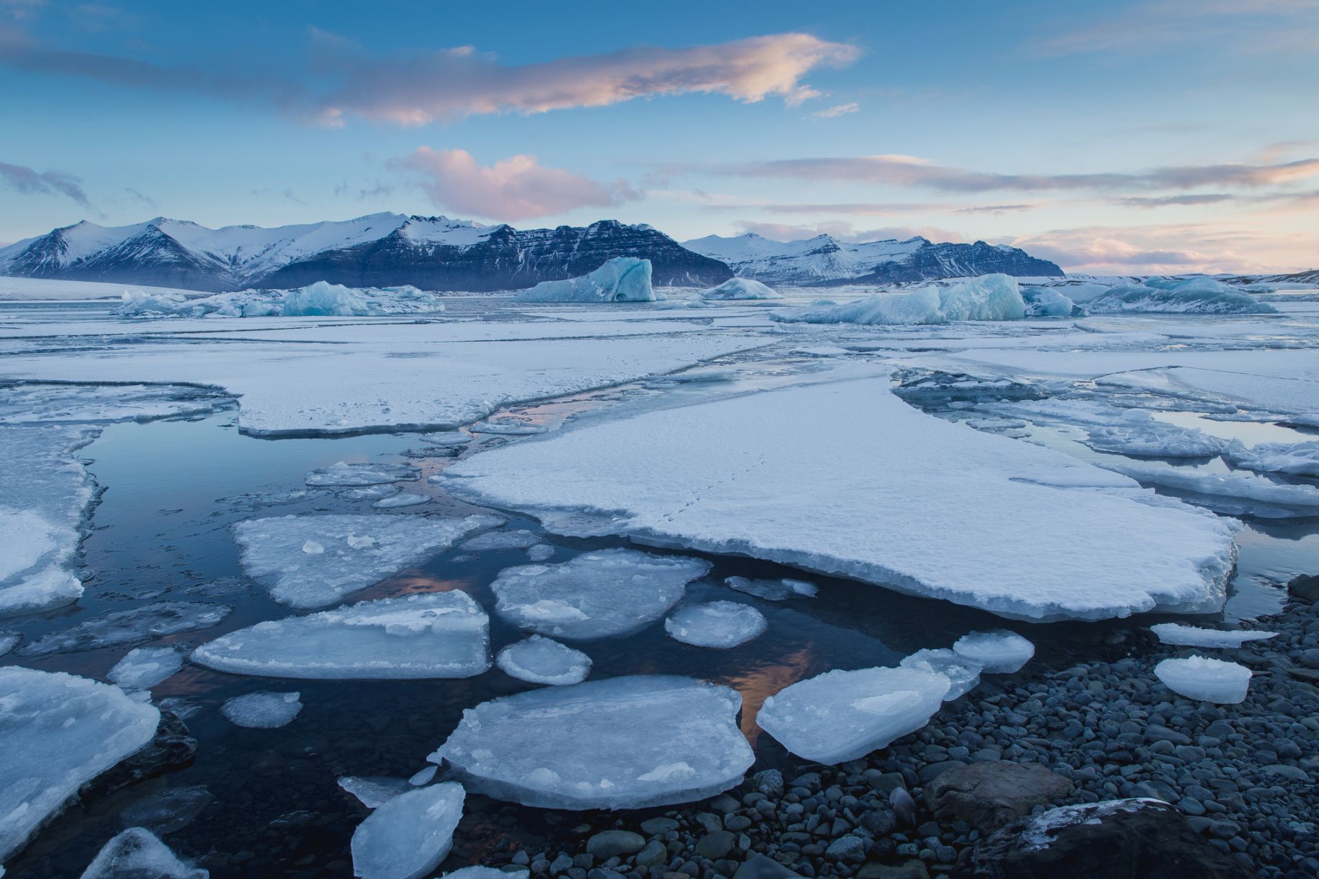 Повече от 40% от ледените шелфове на Антарктида са изчезнали от 1997 г. насам 