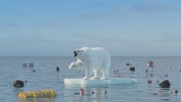 Учените: До няколко години Арктика ще преживее първия си ден без лед от милиони години насам
