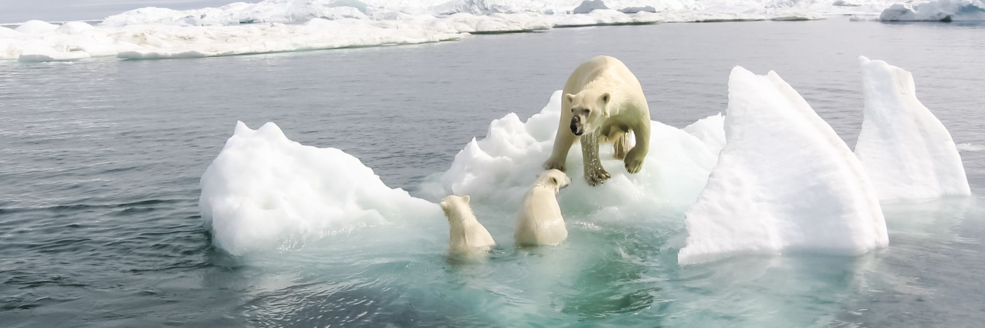 Арктика може  да остане без лед  до 2035 г. 