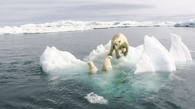 Арктика без лед: рекордно ниски нива в момента