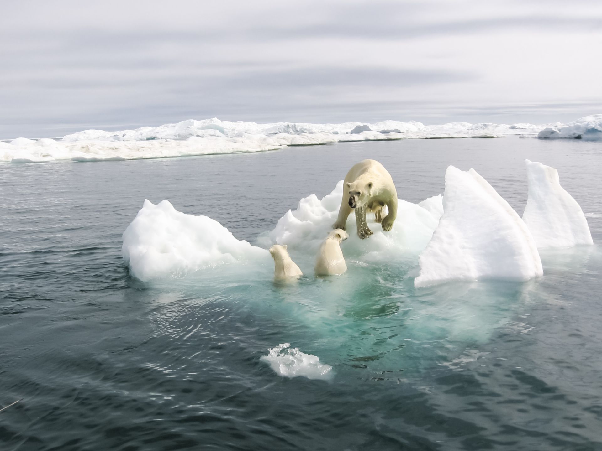 Кога Арктика ще остане без лед: рекордно ниски нива в момента