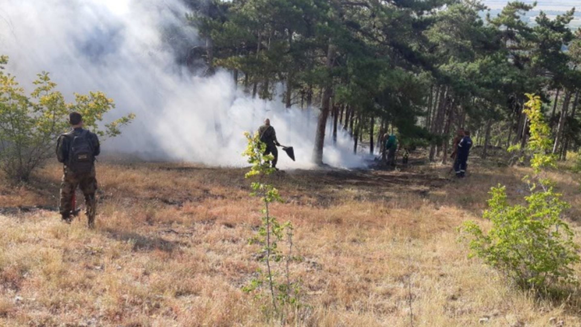Изгоряха стотици декари гора в Хасковско