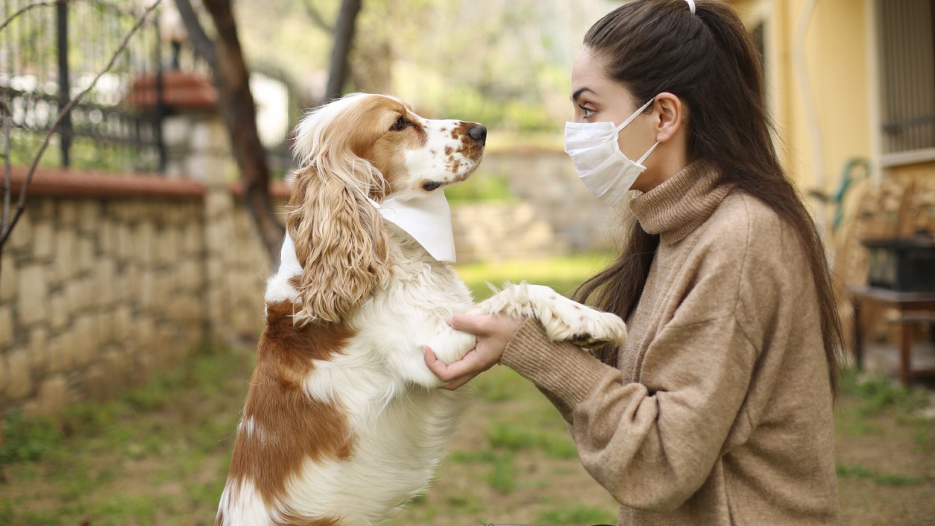 Учени потвърдиха: Кучетата могат да надушват коронавируса