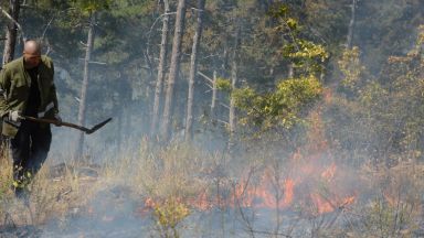 Тракторист причинил пожара в Тополовградско
