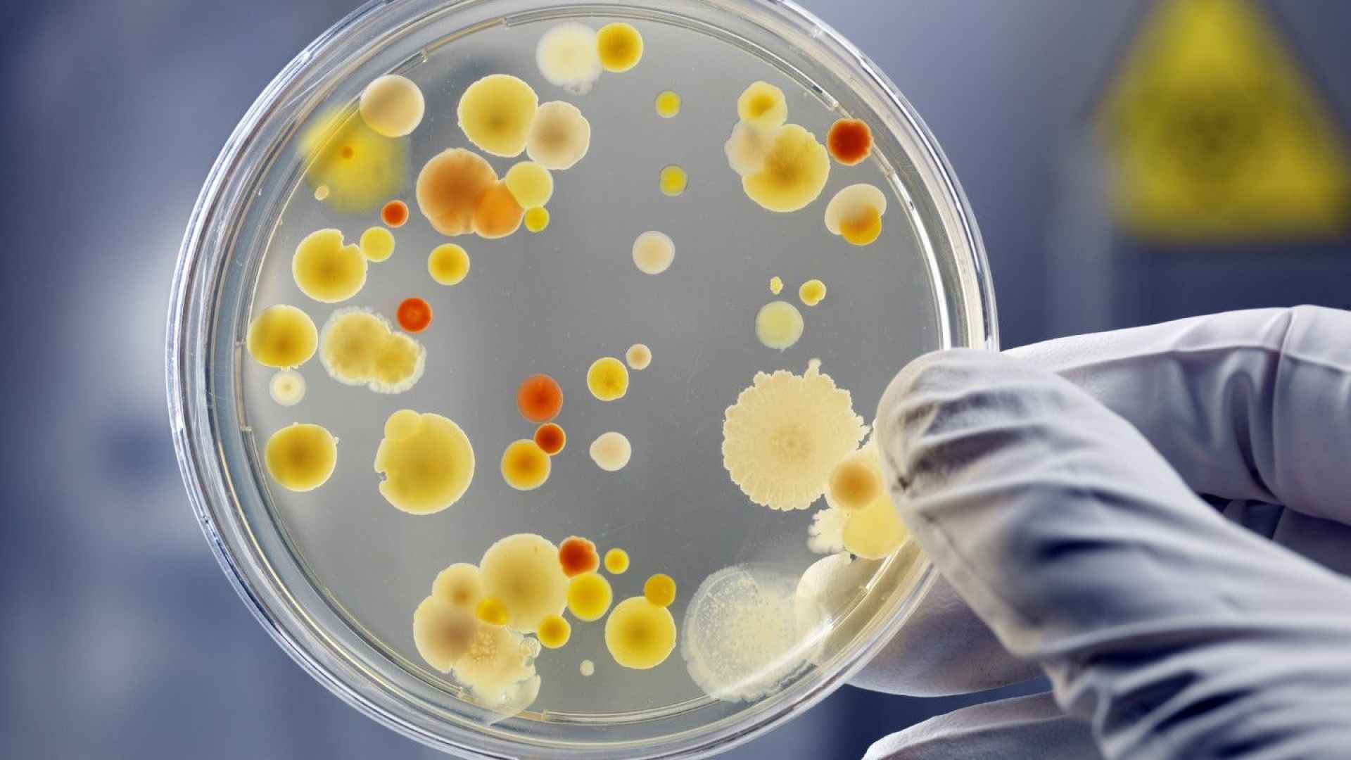 Микроби "подсказват" на учените за живот на други планети