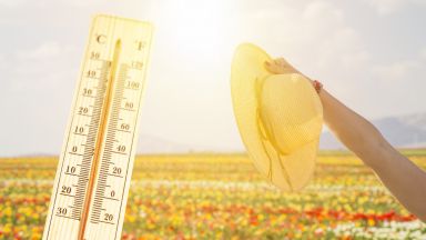 Жълт код за горещо време в почти цялата страна