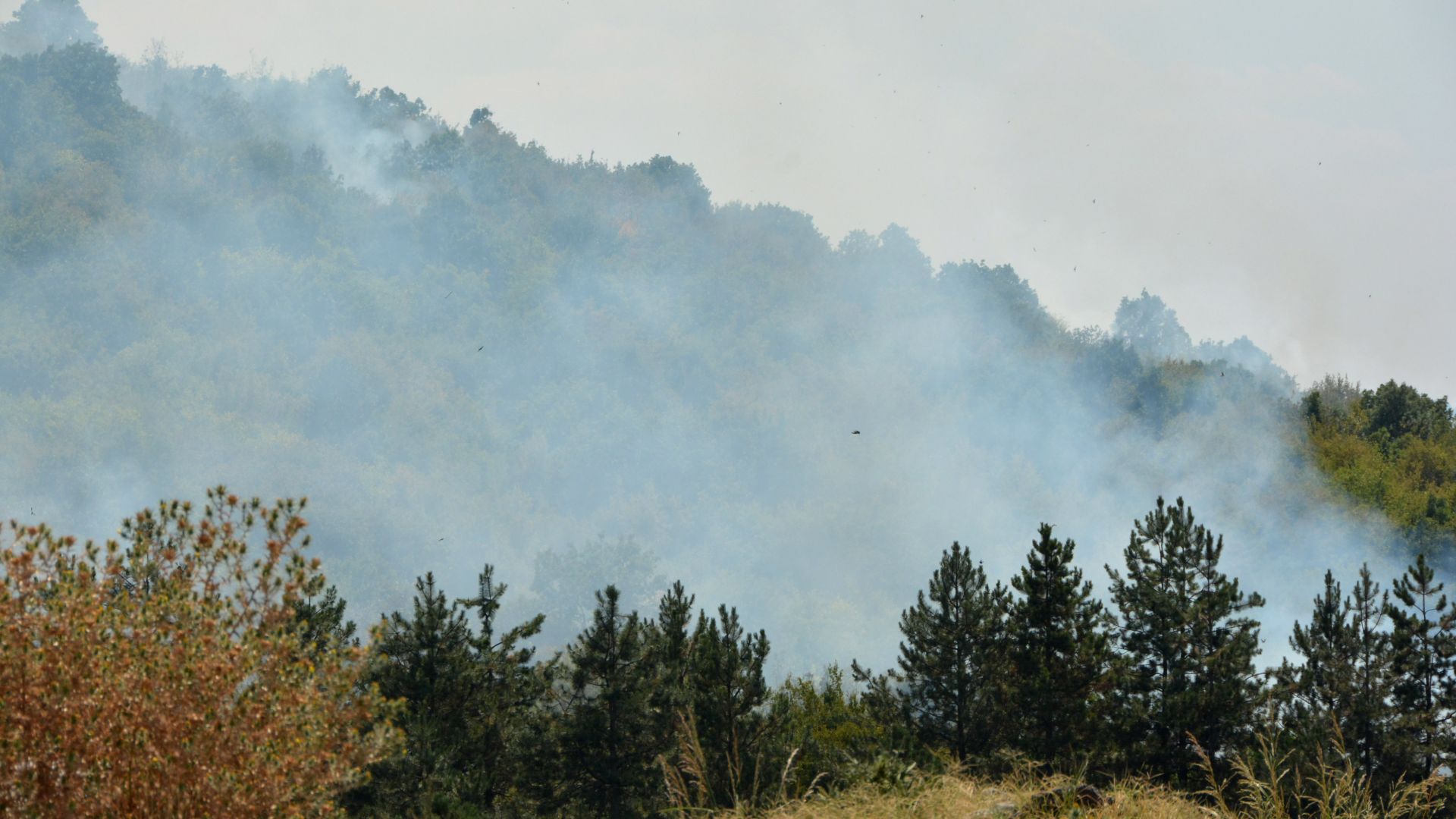 Пожар обхвана и гора близо до Симеоновград