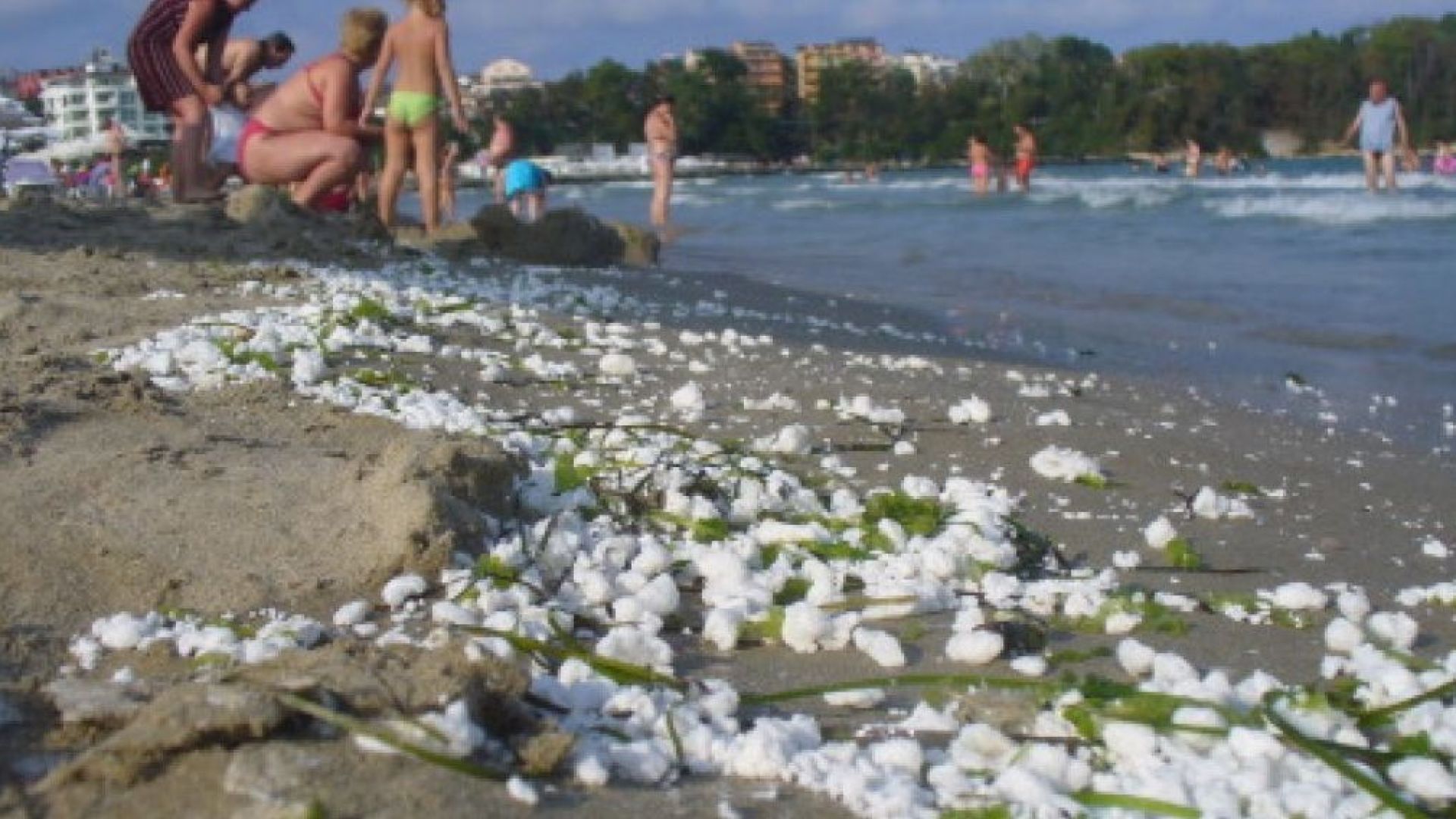 Мазните топчета се появиха и на Бургаския плаж, събират ги на ръка