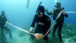 Гърция се сдоби с първия си подводен музей (видео)