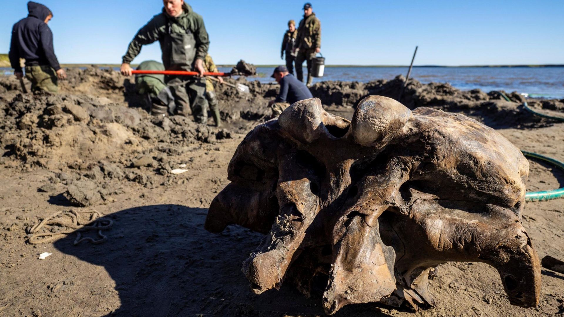 Откриха запазен мамут в руско езеро