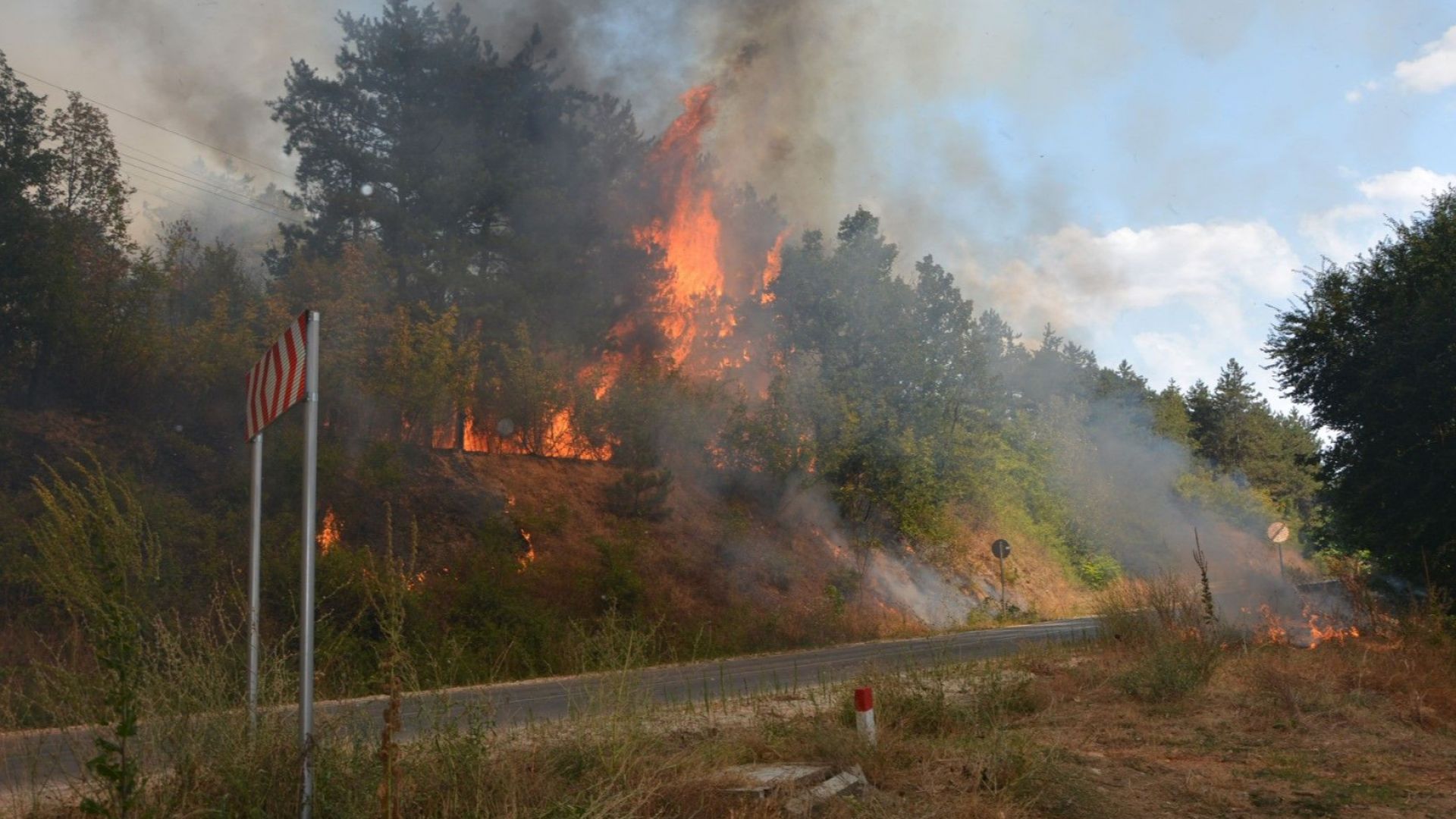 Бедствено положение в община Свиленград заради огнената стихия