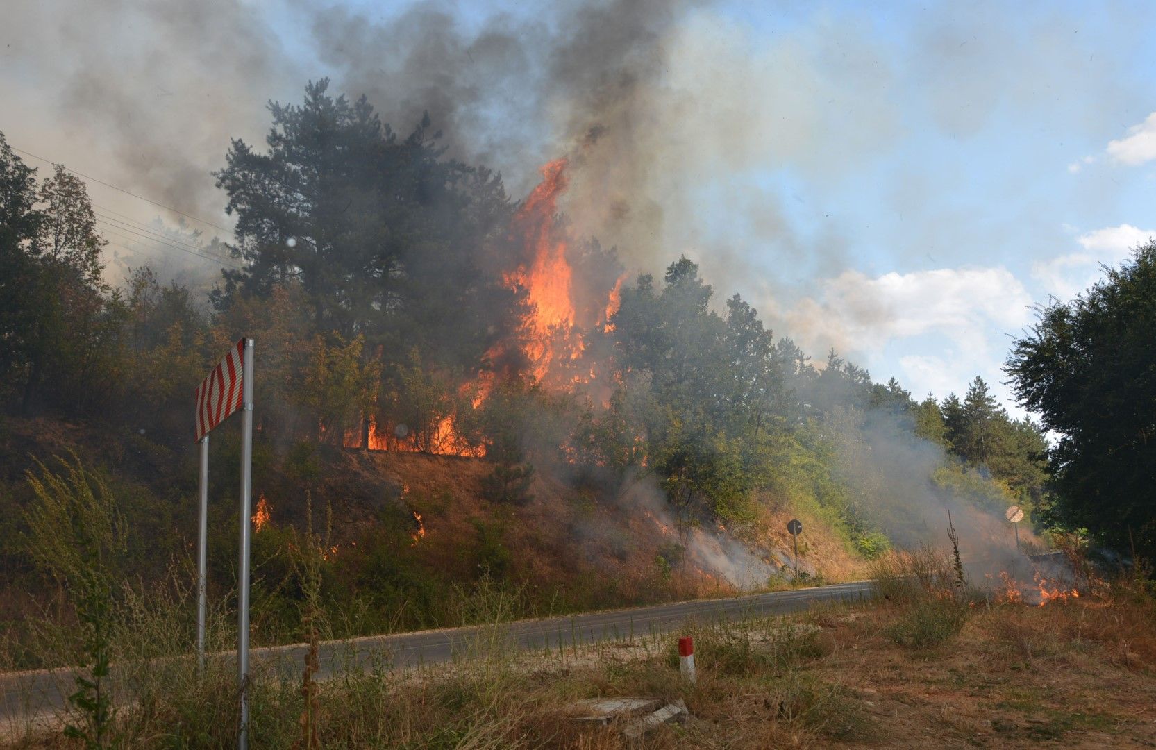 Бурен пожар гори между селата Рогозиново и Българин, намиращи се в община Харманли, който е навлязъл в борова гора. Правят се опити пожарът да бъде овладян от страна на село Българин
